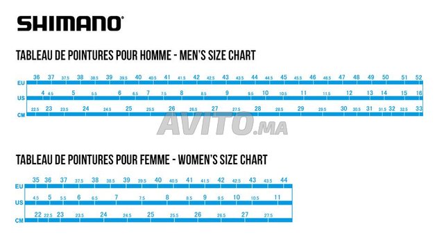 Shimano rp5 size sales chart
