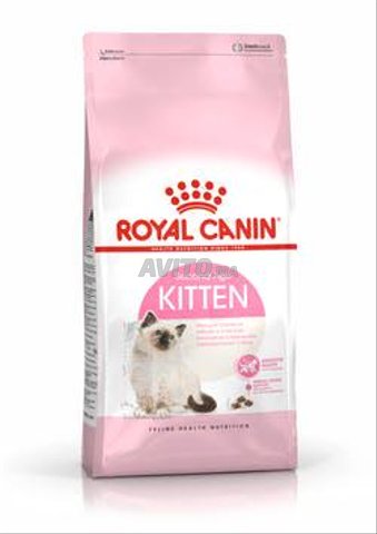 Royal cannin Kitten 1.5kg  - 1