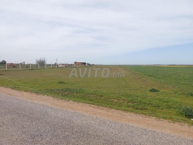 Ter titre 12500 m2 kamouni - 2