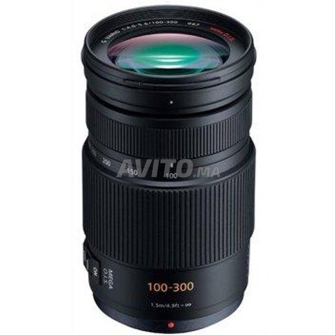 Lumix G Vario 100-300 mm