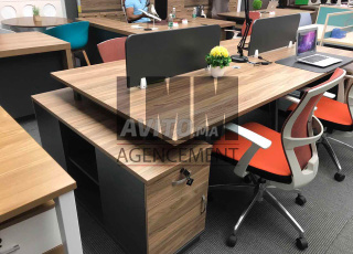 Differents margeurites en promotions