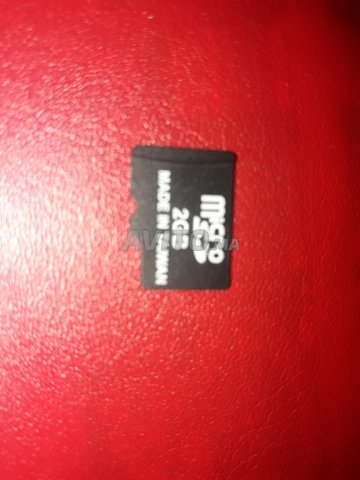 Carte MICRO SD 2GB - 1