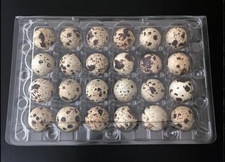 Barquette oeufs de caille