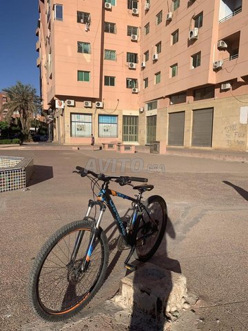 Velos a sidi abbad a vendre Avito