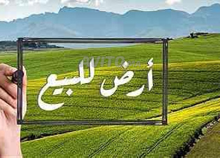 قطعة أرضية للبيع بتجزئة صوفيا