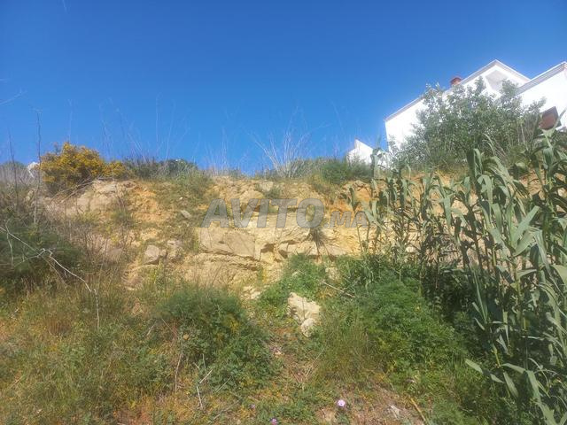 أراضي للبيع بطنجة - 2