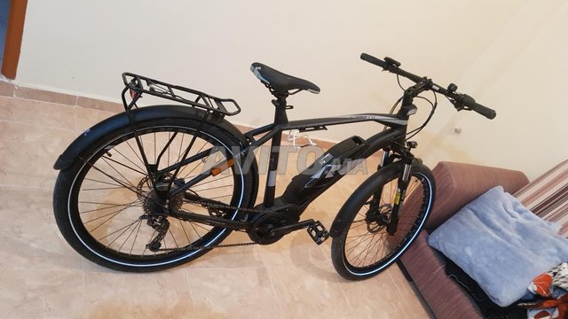 Velo discount electrique raymon