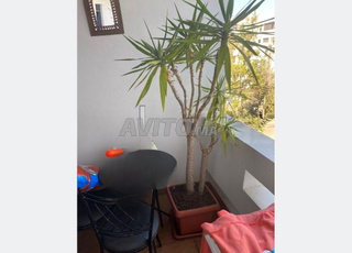 Appartement à vendre 121 m² à Rabat