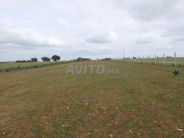 Ter titre 18000m2 sehoul salé