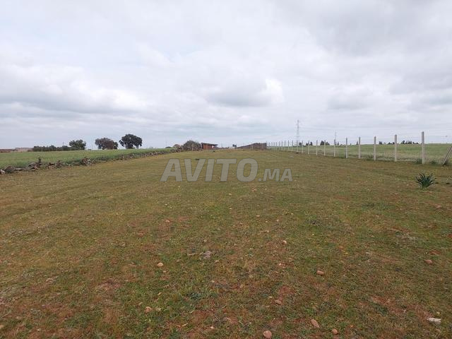 Ter titre 18000m2 sehoul salé - 2
