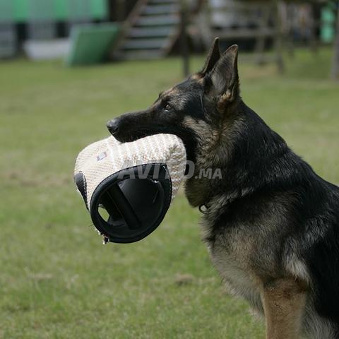 مدرب محترف - 2