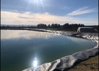 Ferme à vendre Tiflet 15 Hectares 