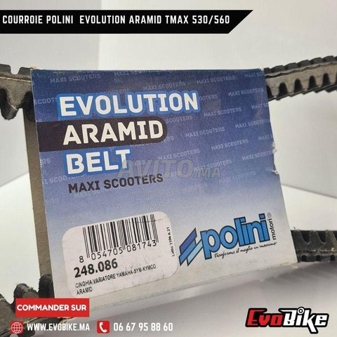 COURROIE POLINI EVOLUTION ARAMID TMAX 530/560 - 3