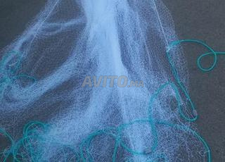  شباك الصيد (جراف)