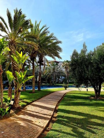 شقق مفروشة في المارينا
