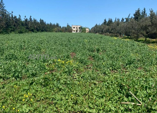 Terrains à vendre à Douar Chragui