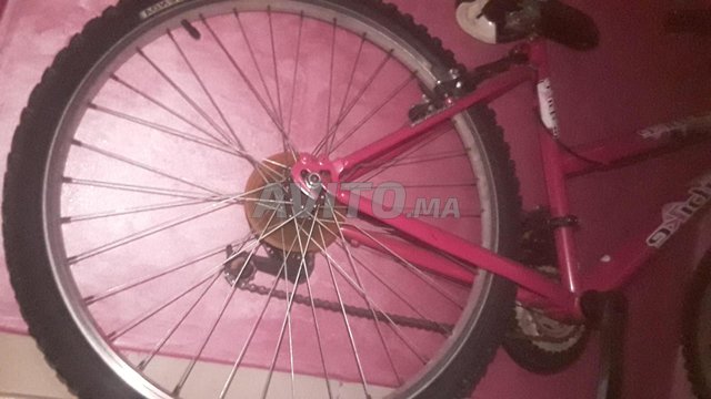 Velos a marjane a vendre Avito Page 403