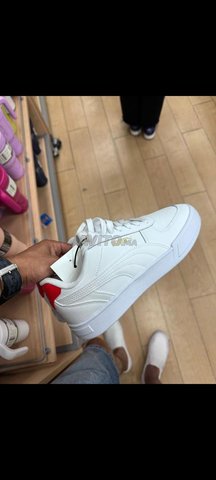 Puma spadri discount