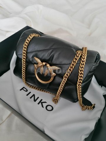 Sac 2024 pinko noir