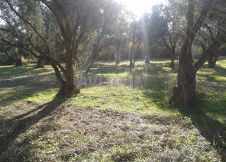 Terrains à vendre à Al Haouz
