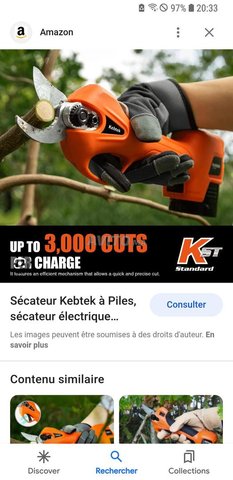 secateur electrique keptek  Jardin et Outils de bricolage à