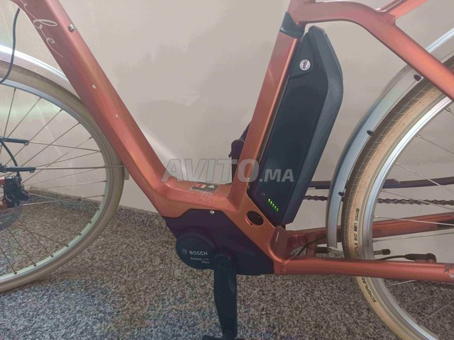 Bicyclette electrique online avito