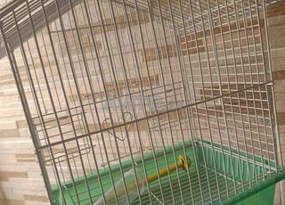 Cage à oiseaux