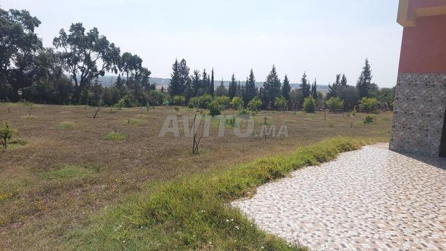 مزرعة 7000m2 سند ملكية سهول سلا - 2