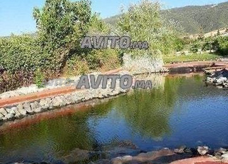 Appartement chalet dans une ferme 