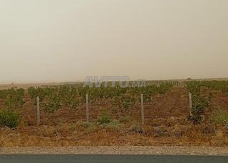 TERRAIN AGRICOL DE 852Ha à Vendre