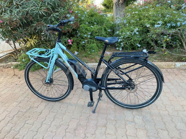 Trek um2+ online stagger