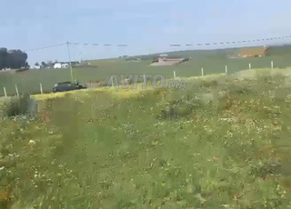 ارض فلاحية 9000متر 7كم من تيفلت