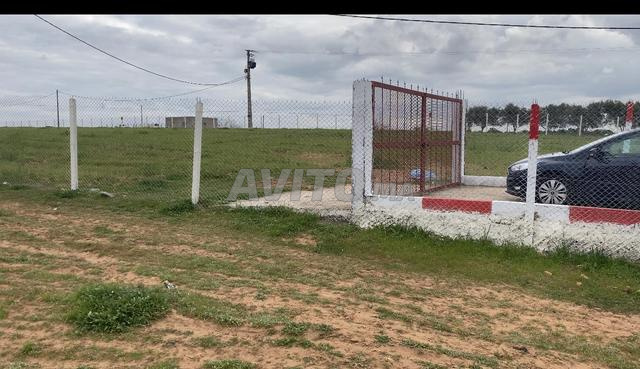 هكتار 500متر  محفض على الشارع 13كم من البحراوي 