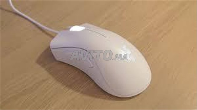 Souris de jeu Razer Deathadder Essential - Couleur blanche