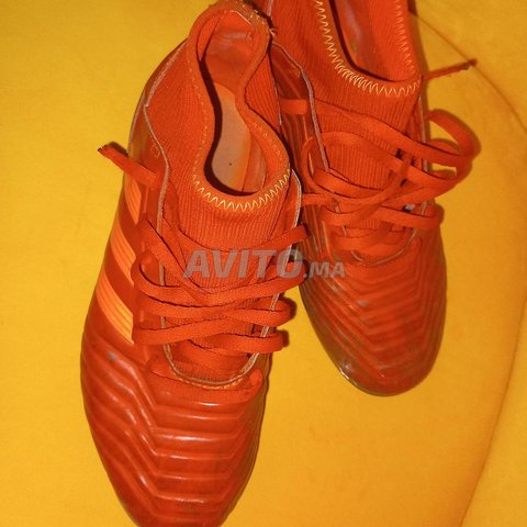 godasse adidas predator Sports et Loisirs Sal Avito.ma