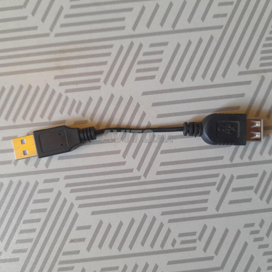 Câble rallonge USB 2.0 avec filtre 10m Maroc