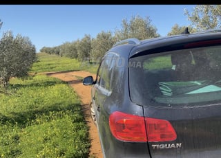 Cinq hectares et quatre ouvriers, tous des oliviers, bon marché