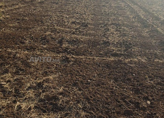 TERRAIN AGRICOLE DE 3Ha