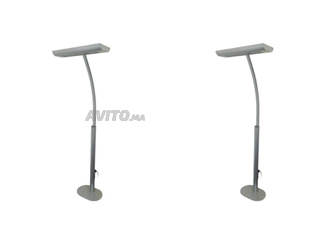 Lot deux lampadaire Radian Epur bureau