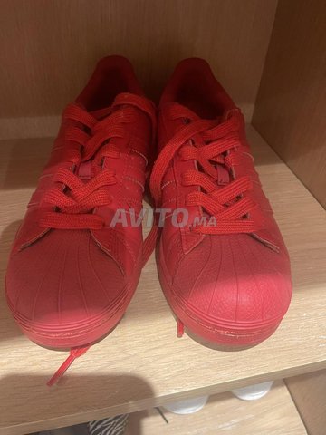 Superstar adidas