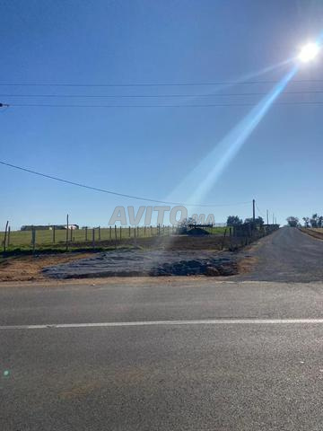 هكتار والف متر محفض 7كم من البحراوي 