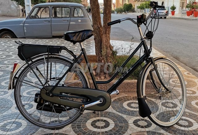 Sparta velo discount