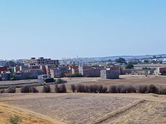 Ter titre 3ha R2 sala el jadida - 2