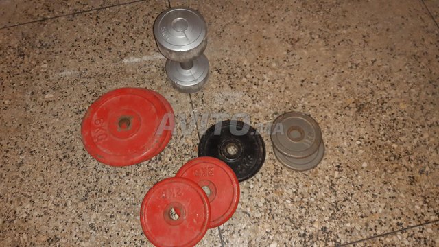 Discos salter 10 kg hot sale