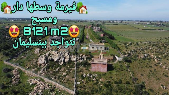 Belle ferme de 8121m2 à Bouznika - 2