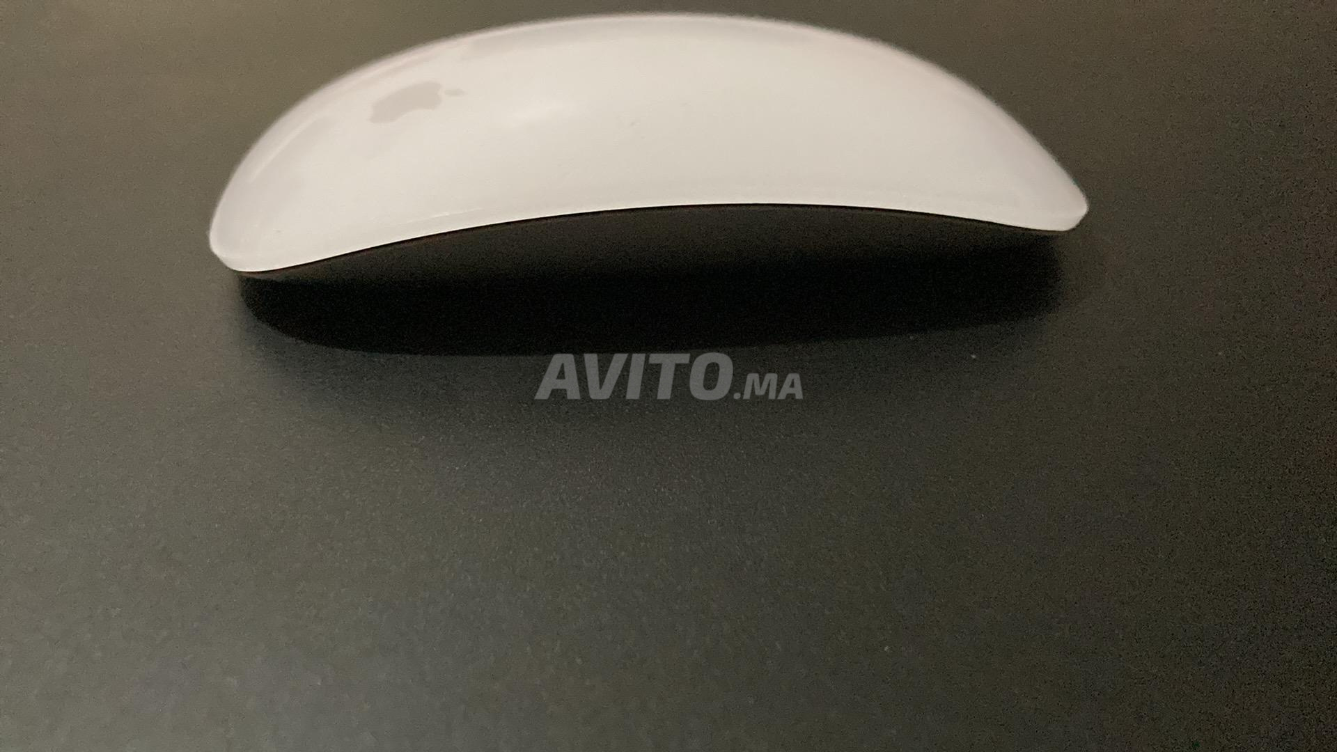 Apple Magic Mouse Surface Multi-Touch Blanc Souris 100% Originale Pour Mac  & iPad iOS à prix pas cher
