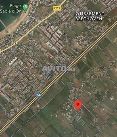 Terrain à vendre à Ain Atiq 