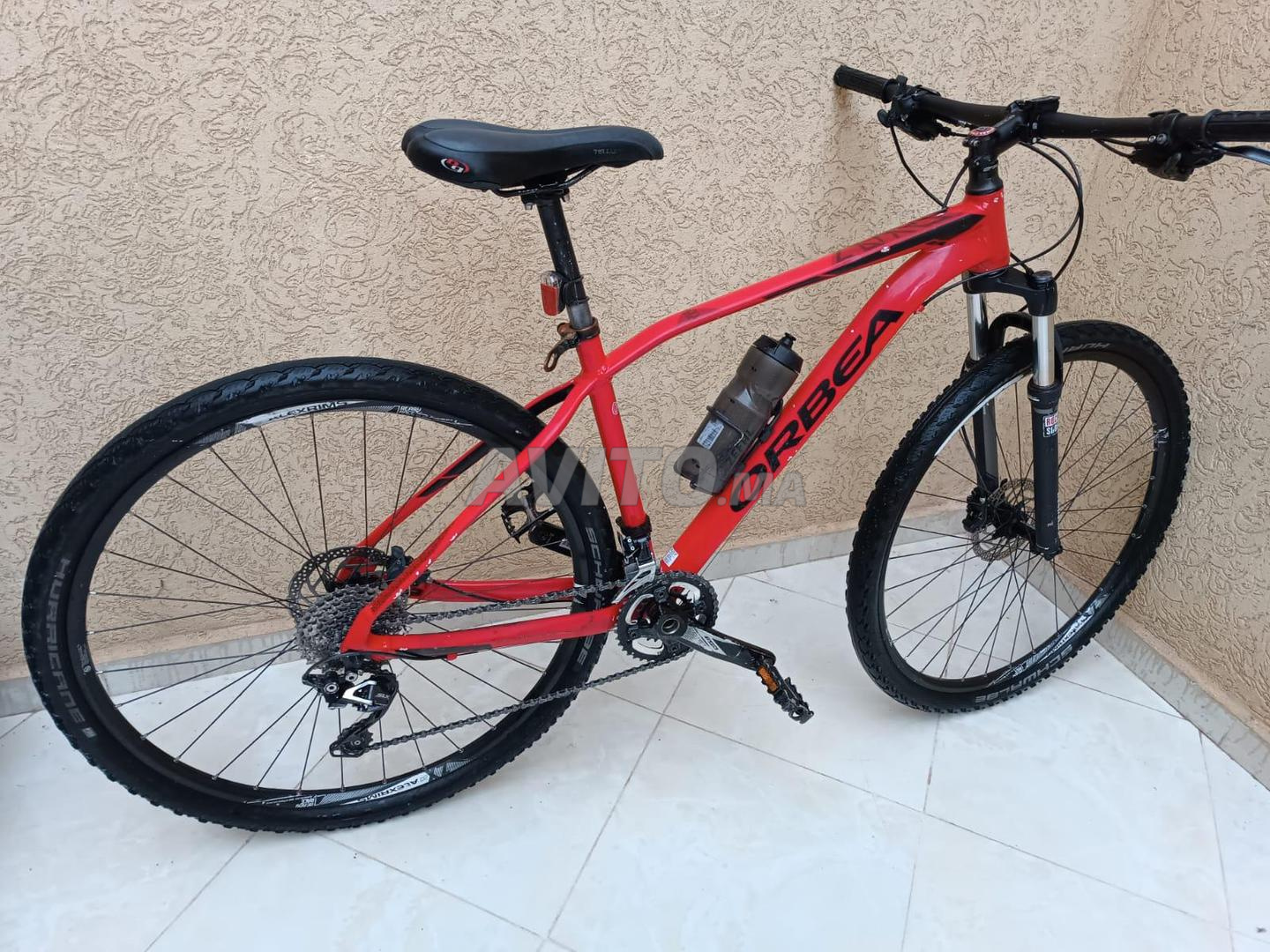 VTT Orbea 29 taille M Sports et Loisirs Mohammedia Avito.ma