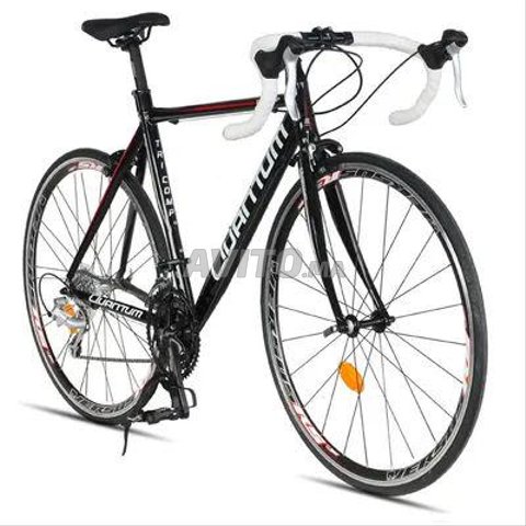 Velo quantum best sale