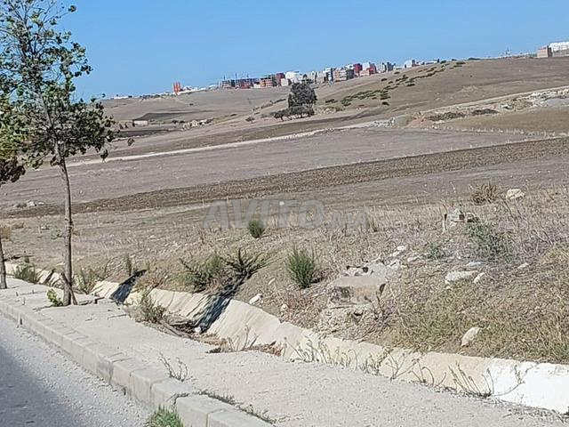 Terrain excellent titré idéal pour tout projet sur la route d'Aouama